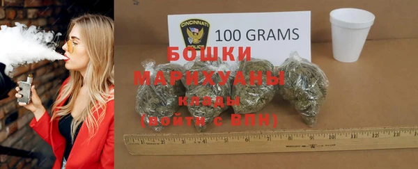 ГАЛЛЮЦИНОГЕННЫЕ ГРИБЫ Медвежьегорск