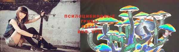 синтетический гашиш Медногорск