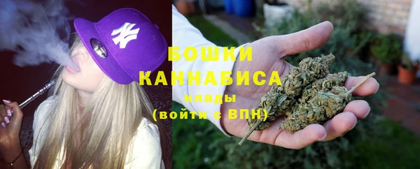 ГАЛЛЮЦИНОГЕННЫЕ ГРИБЫ Медвежьегорск