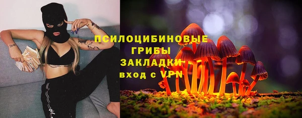 ГАЛЛЮЦИНОГЕННЫЕ ГРИБЫ Медвежьегорск