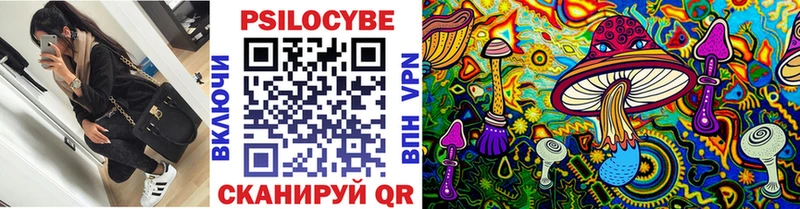сайты даркнета состав  Хабаровск  Псилоцибиновые грибы мицелий 